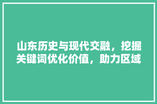 山东历史与现代交融，挖掘关键词优化价值，助力区域经济发展