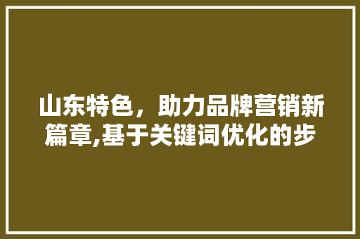 山东特色，助力品牌营销新篇章,基于关键词优化的步骤