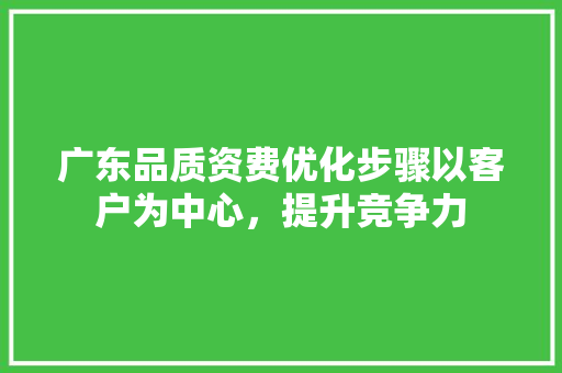 广东品质资费优化步骤以客户为中心，提升竞争力 网站建设公司