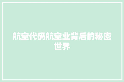 航空代码航空业背后的秘密世界