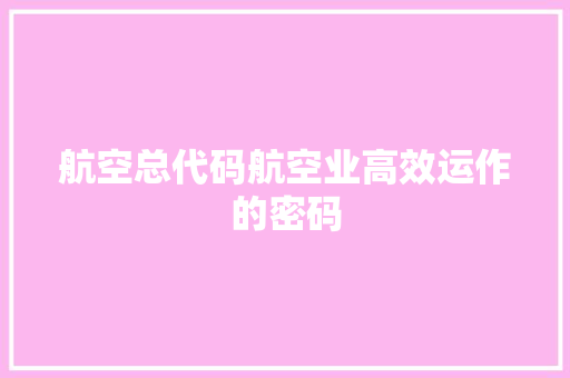 航空总代码航空业高效运作的密码 网站建设公司