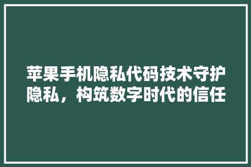 苹果手机隐私代码技术守护隐私，构筑数字时代的信任堡垒