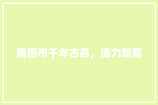 莆田市千年古邑，活力新篇 百度SEO