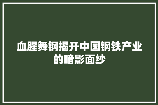 血腥舞钢揭开中国钢铁产业的暗影面纱