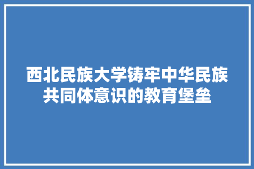 西北民族大学铸牢中华民族共同体意识的教育堡垒 神马SEO
