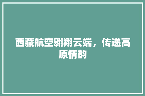 西藏航空翱翔云端，传递高原情韵