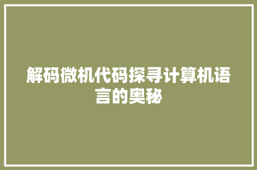 解码微机代码探寻计算机语言的奥秘 百度SEO