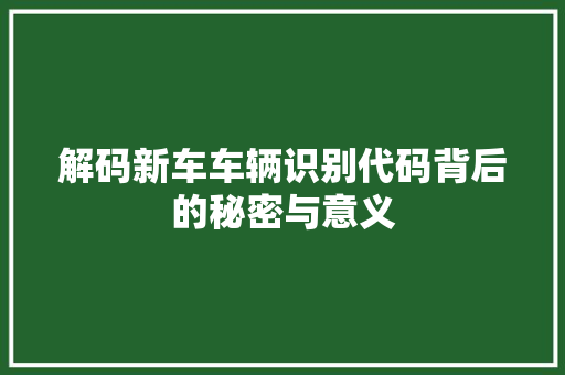 解码新车车辆识别代码背后的秘密与意义