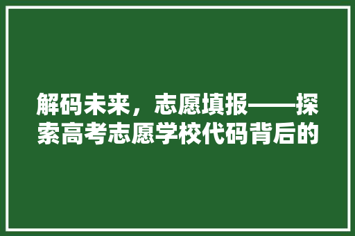 解码未来，志愿填报——探索高考志愿学校代码背后的奥秘