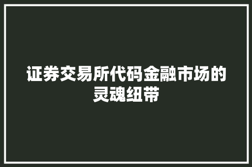 证券交易所代码金融市场的灵魂纽带 必应SEO