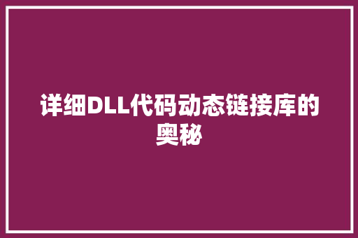详细DLL代码动态链接库的奥秘 必应SEO