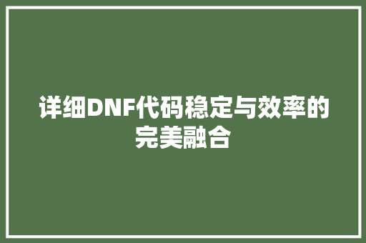 详细DNF代码稳定与效率的完美融合
