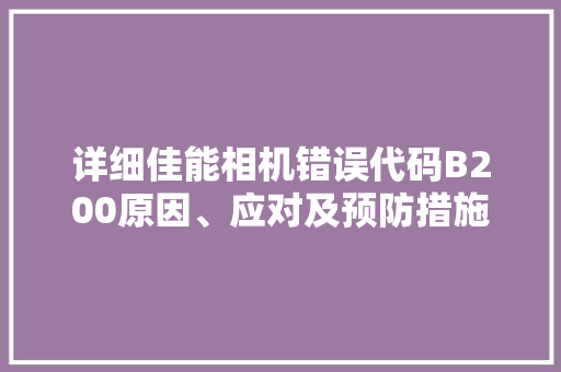 详细佳能相机错误代码B200原因、应对及预防措施 网站建设公司