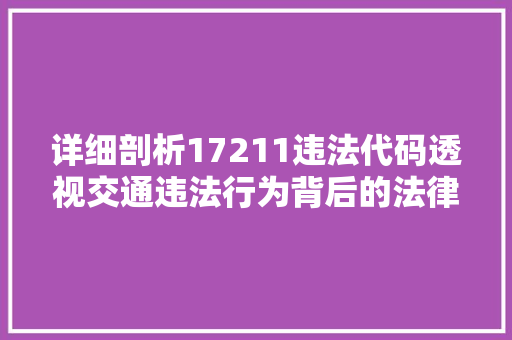 详细剖析17211违法代码透视交通违法行为背后的法律责任与治理挑战 必应SEO