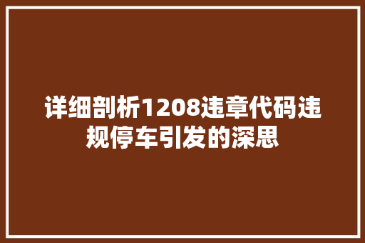 详细剖析1208违章代码违规停车引发的深思