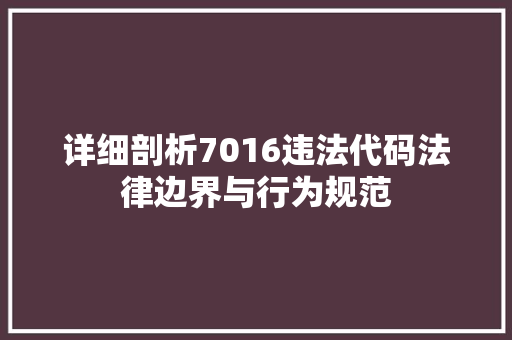 详细剖析7016违法代码法律边界与行为规范