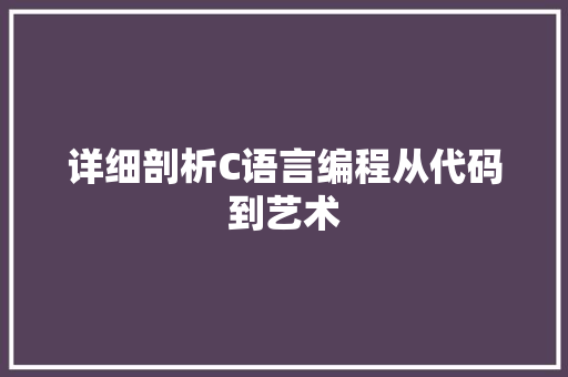 详细剖析C语言编程从代码到艺术 必应SEO