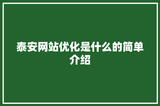 泰安网站优化是什么的简单介绍