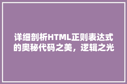 详细剖析HTML正则表达式的奥秘代码之美，逻辑之光