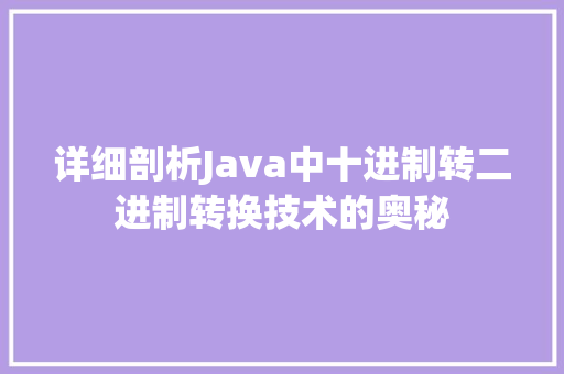详细剖析Java中十进制转二进制转换技术的奥秘 必应SEO