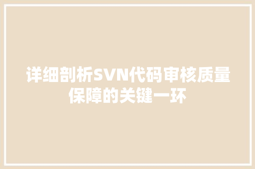 详细剖析SVN代码审核质量保障的关键一环 必应SEO