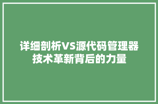 详细剖析VS源代码管理器技术革新背后的力量