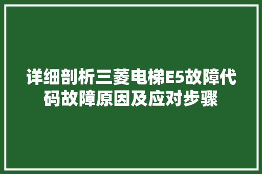 详细剖析三菱电梯E5故障代码故障原因及应对步骤 必应SEO