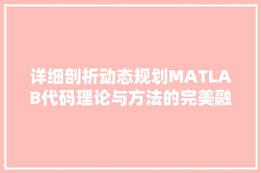 详细剖析动态规划MATLAB代码理论与方法的完美融合 必应SEO