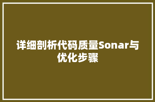 详细剖析代码质量Sonar与优化步骤 必应SEO
