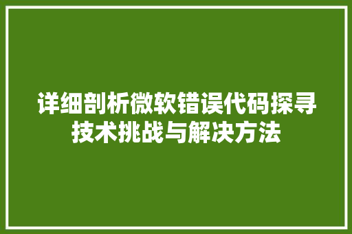 详细剖析微软错误代码探寻技术挑战与解决方法