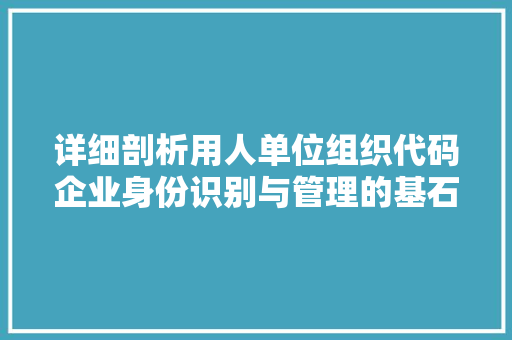 详细剖析用人单位组织代码企业身份识别与管理的基石 必应SEO