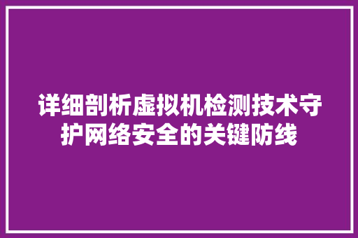 详细剖析虚拟机检测技术守护网络安全的关键防线 网站建设公司