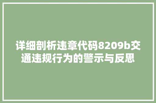 详细剖析违章代码8209b交通违规行为的警示与反思