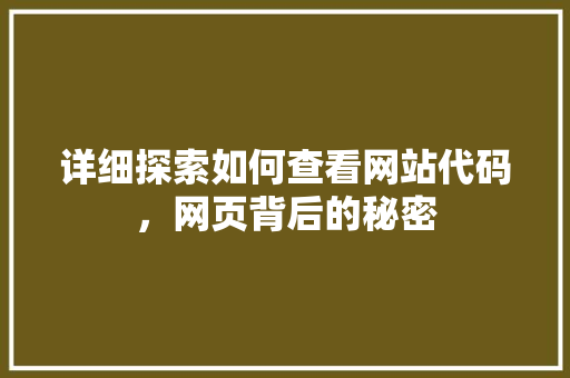 详细探索如何查看网站代码，网页背后的秘密 网站建设公司