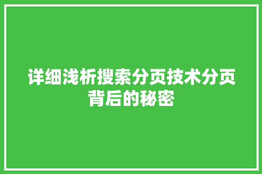详细浅析搜索分页技术分页背后的秘密