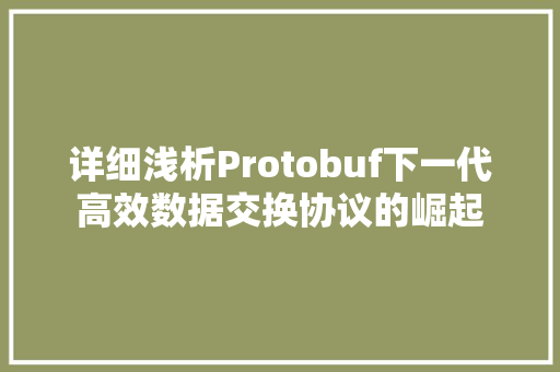 详细浅析Protobuf下一代高效数据交换协议的崛起 必应SEO