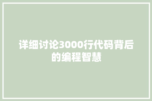 详细讨论3000行代码背后的编程智慧 神马SEO