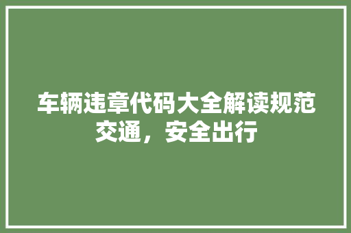 车辆违章代码大全解读规范交通，安全出行