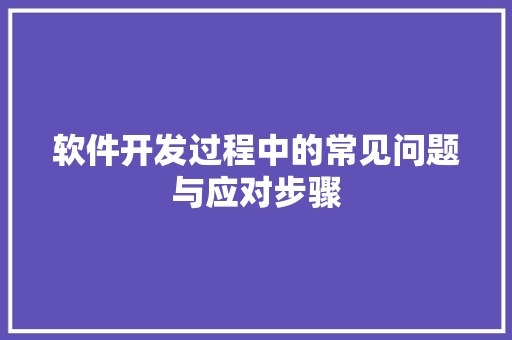 软件开发过程中的常见问题与应对步骤