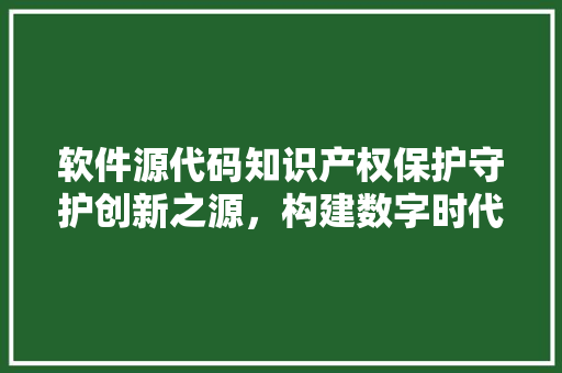 软件源代码知识产权保护守护创新之源，构建数字时代法治基石