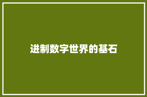 进制数字世界的基石