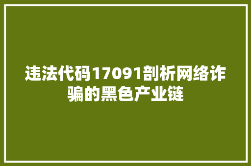 违法代码17091剖析网络诈骗的黑色产业链 必应SEO