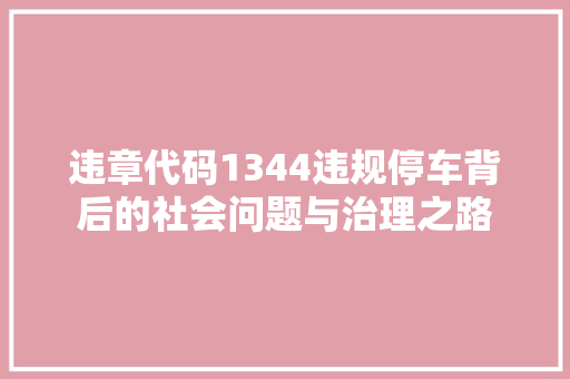 违章代码1344违规停车背后的社会问题与治理之路
