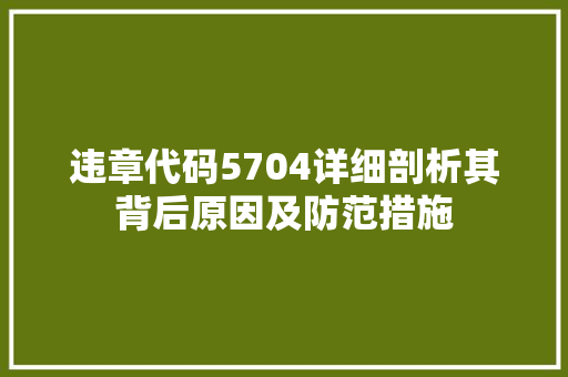 违章代码5704详细剖析其背后原因及防范措施