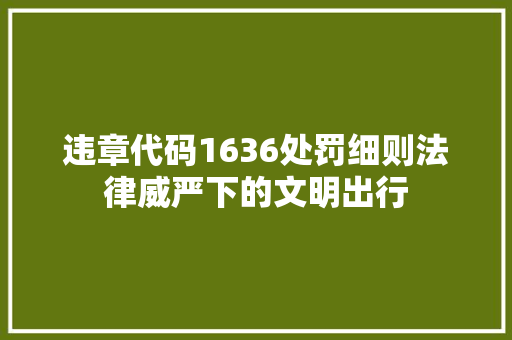 违章代码1636处罚细则法律威严下的文明出行