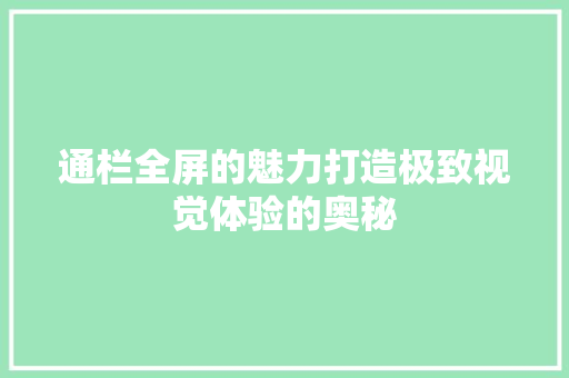 通栏全屏的魅力打造极致视觉体验的奥秘 神马SEO