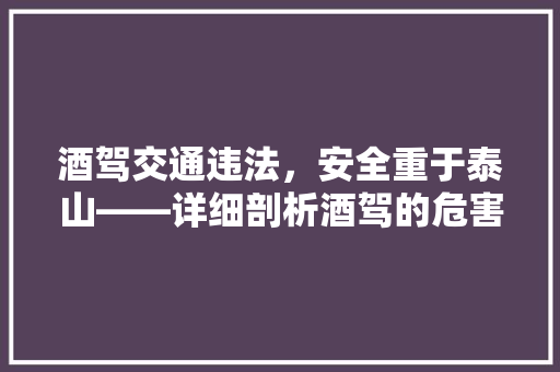 酒驾交通违法，安全重于泰山——详细剖析酒驾的危害与防范措施