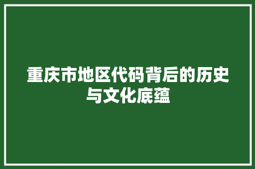重庆市地区代码背后的历史与文化底蕴 必应SEO