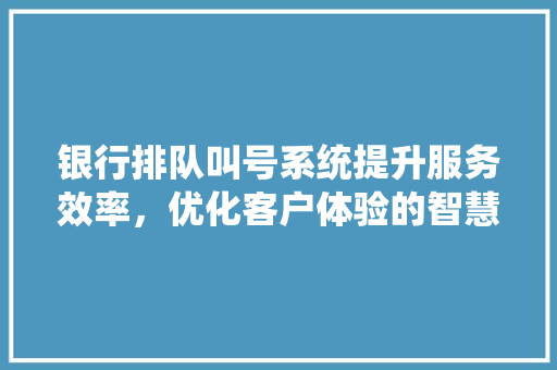 银行排队叫号系统提升服务效率，优化客户体验的智慧之选