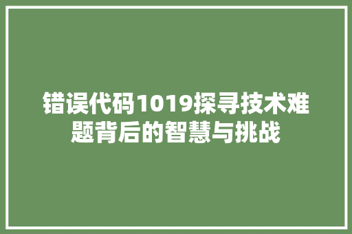 错误代码1019探寻技术难题背后的智慧与挑战